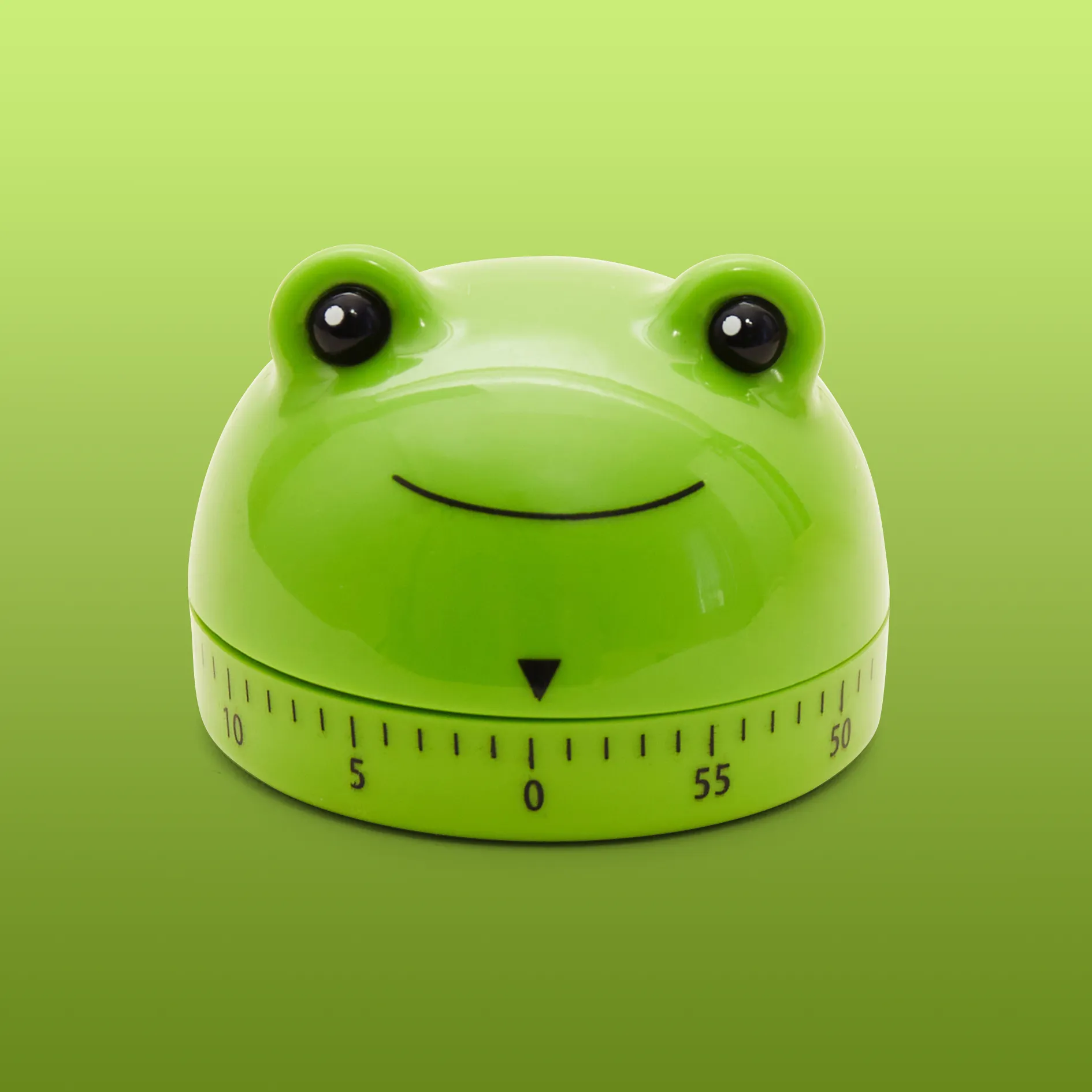 Frog Kitchen Timer