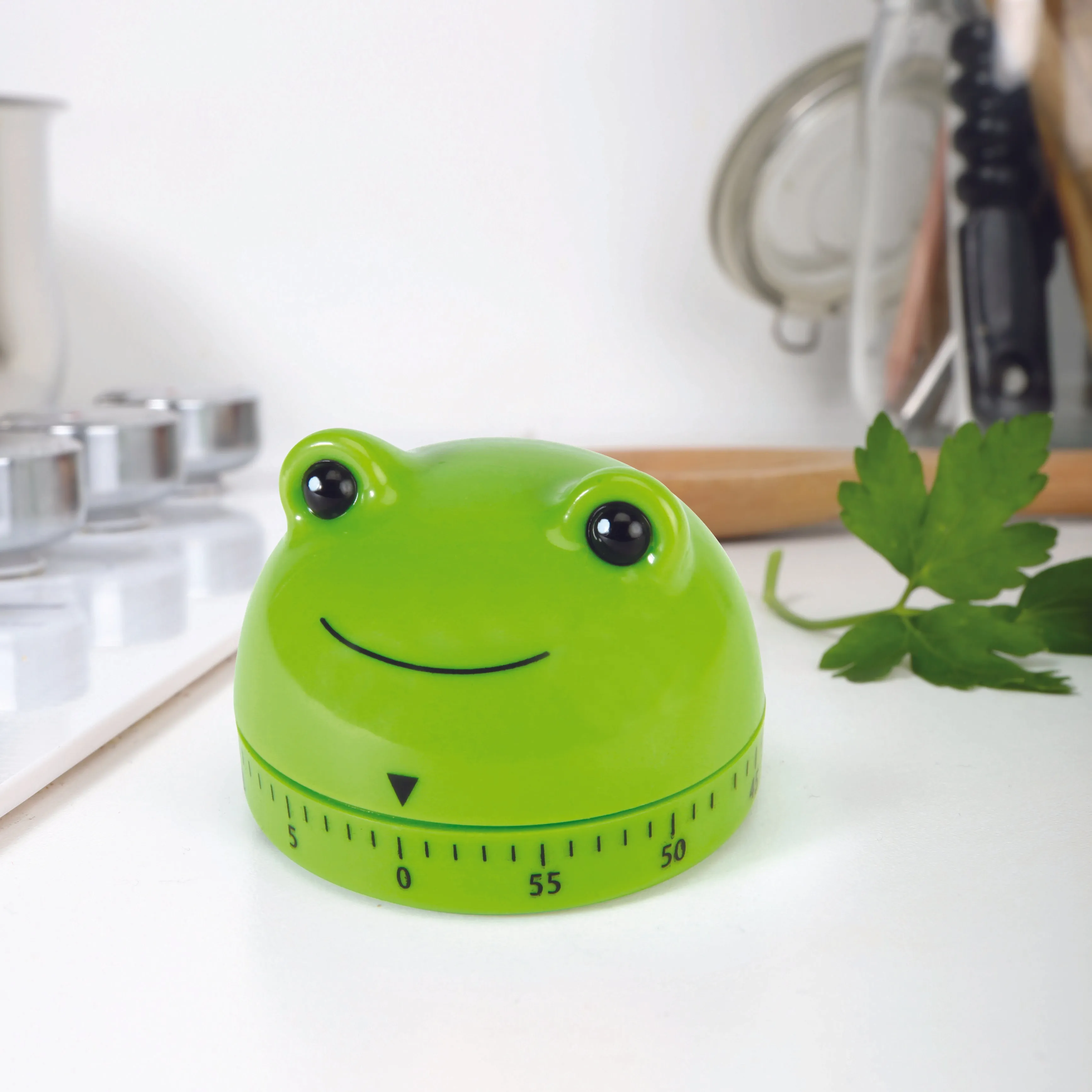 Frog Kitchen Timer