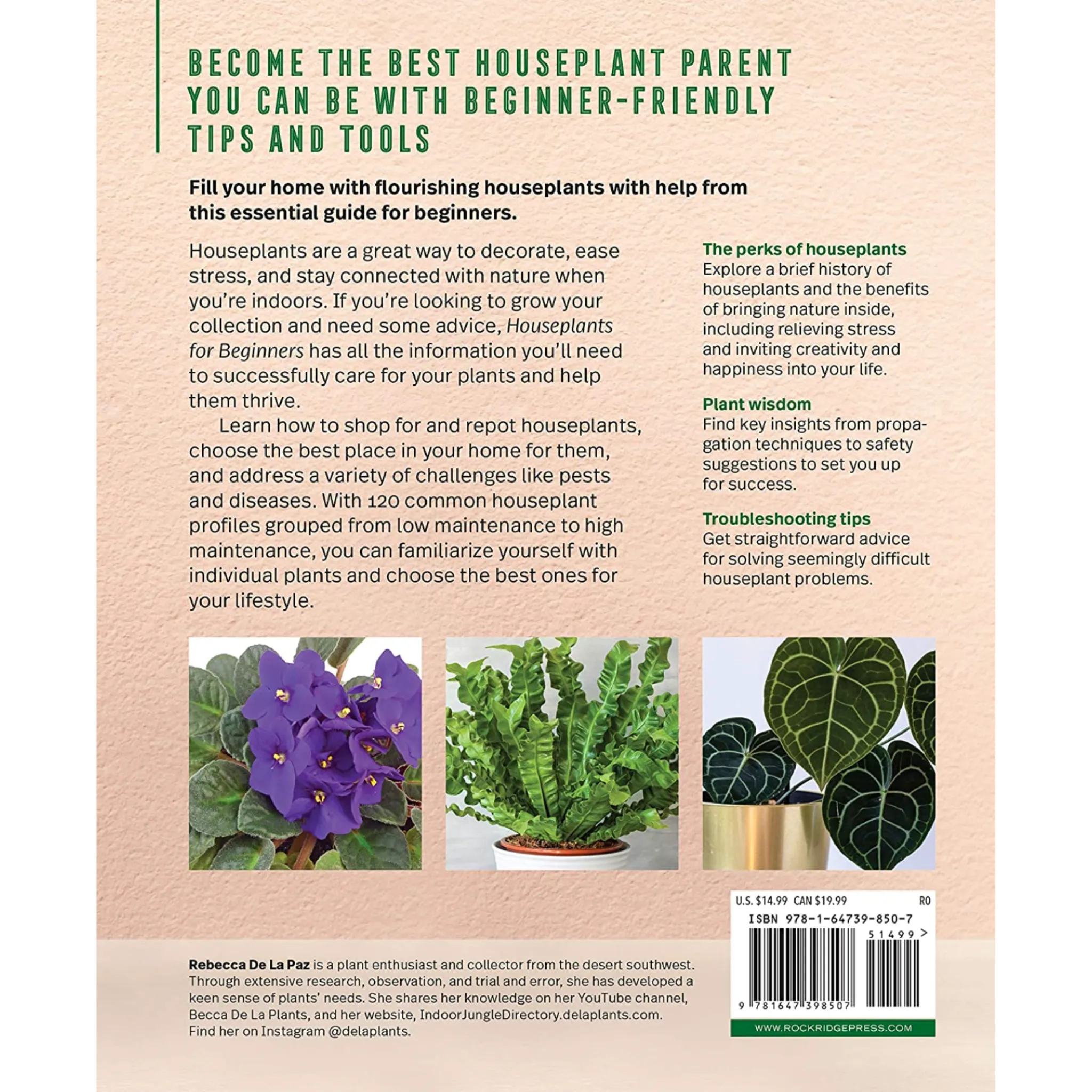 Houseplants for Beginners: A Practical Guide to Choosing, Growing, and Helping Your Plants Thrive