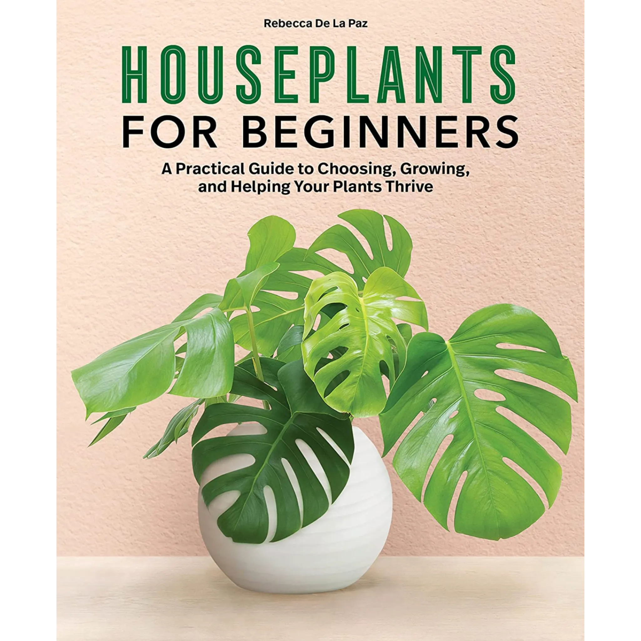 Houseplants for Beginners: A Practical Guide to Choosing, Growing, and Helping Your Plants Thrive