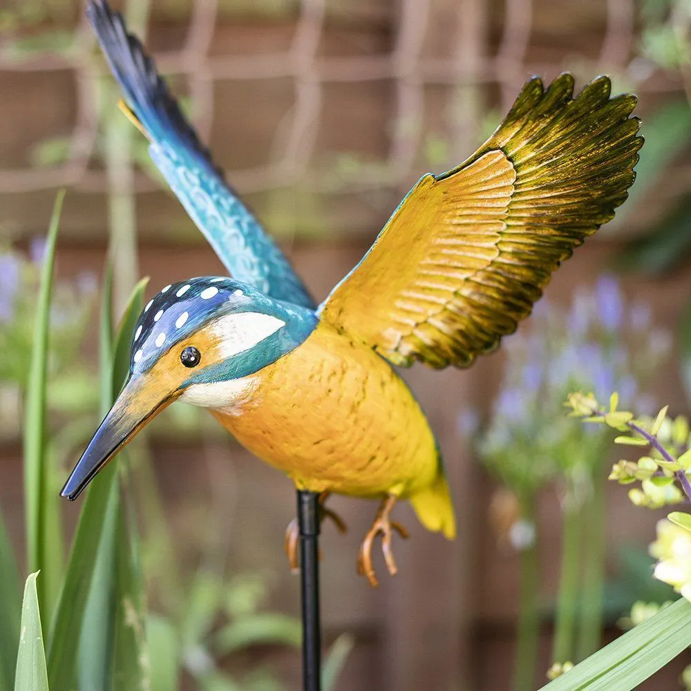 La Hacienda Inquisitive Kingfisher Stake