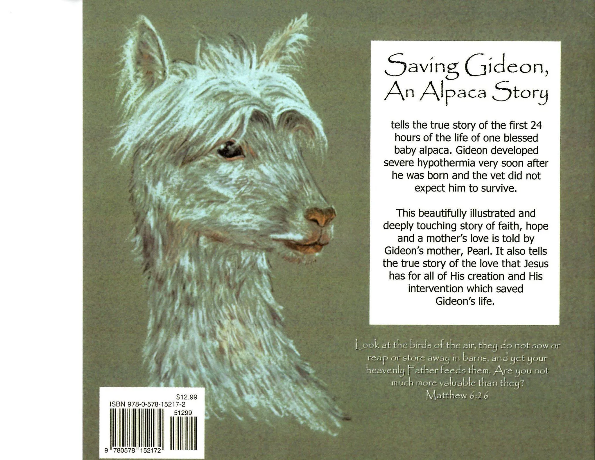 Saving Gideon - An Alpaca Story Book