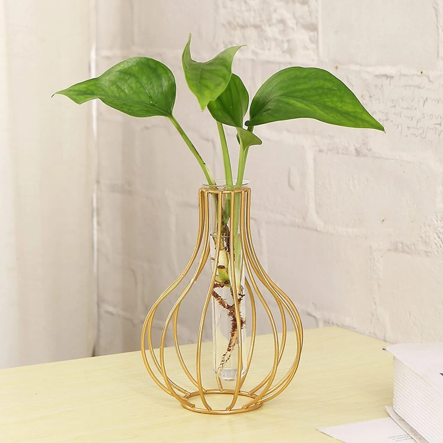 TIED RIBBONS 1 Pcs Propagation Station with Metal holder Glass Test Tube Flower Pot Vase for Home Decor Office Living Room Bedroom Dinning Table Gift Decoration Items (Gold, 20.3 cm x 15.2 cm)