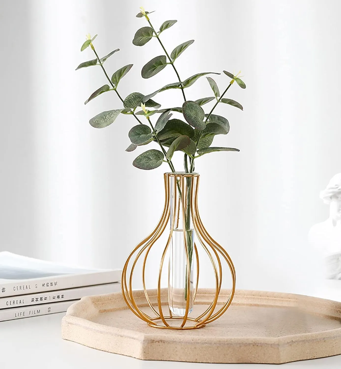 TIED RIBBONS 1 Pcs Propagation Station with Metal holder Glass Test Tube Flower Pot Vase for Home Decor Office Living Room Bedroom Dinning Table Gift Decoration Items (Gold, 20.3 cm x 15.2 cm)